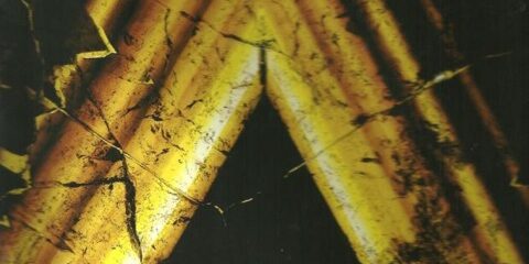 presentazione libri msn e rv