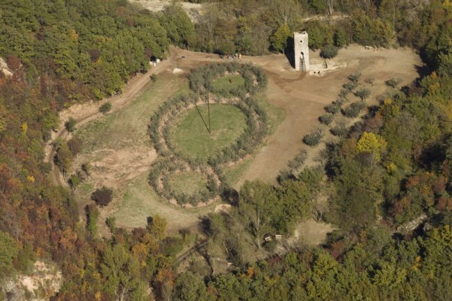 the-forest-of-saint-francis