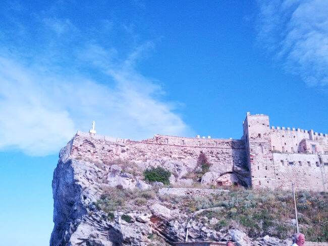 forte teglia dal basso