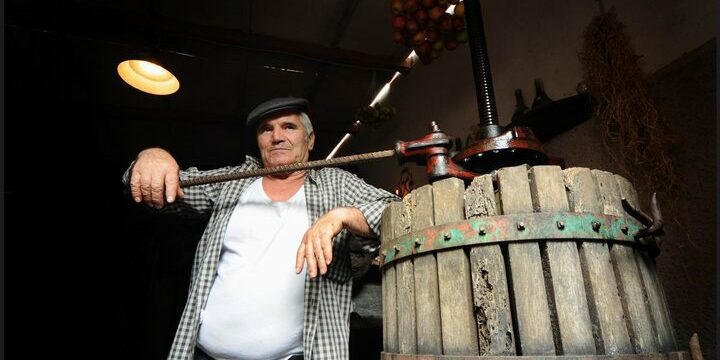 festa_uva Festa dell'uva a Capoliveri