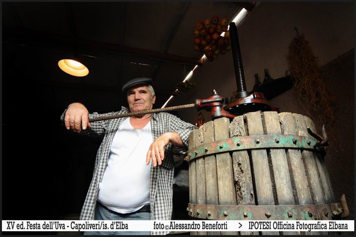 festa_uva Festa dell'uva a Capoliveri