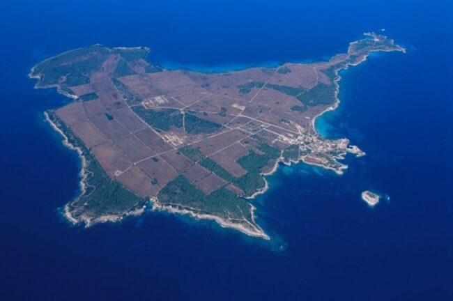 Pianosa Mostra Bruxelles Pianosa mostra bruxelles