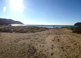 Dune di Lacona