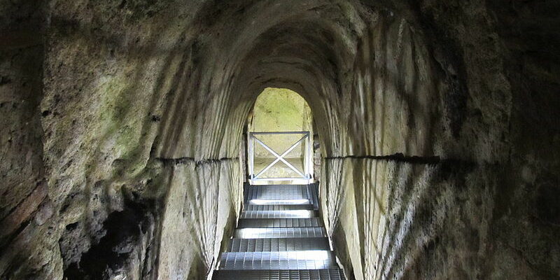 Zecca Zecca di Marciana