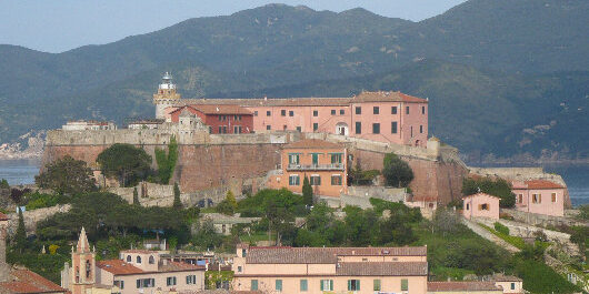 forte falcone