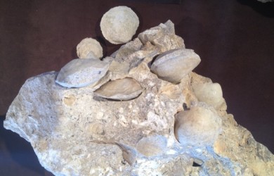 Pianosa