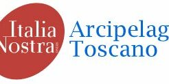 Logo IN