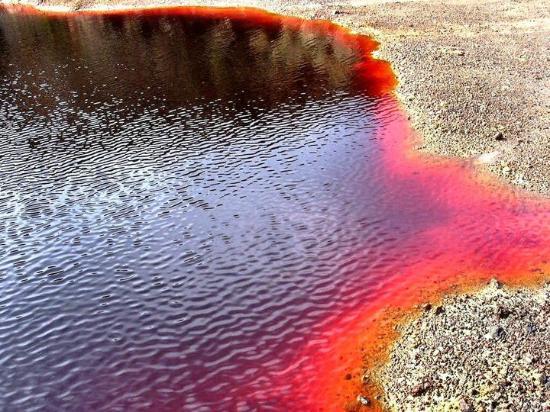 filename-188403-1861619591104