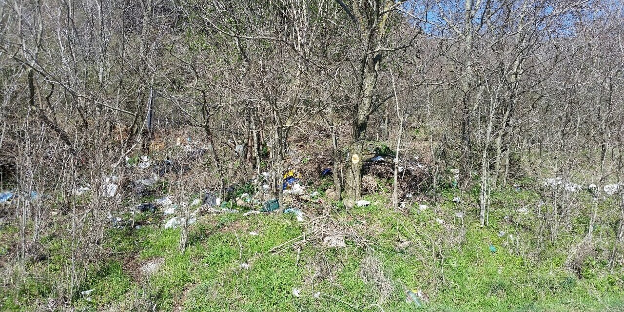 Strada del Tuscolo Strada del Tuscolo