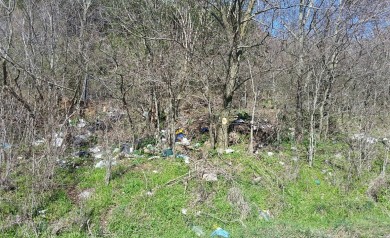 Strada del Tuscolo