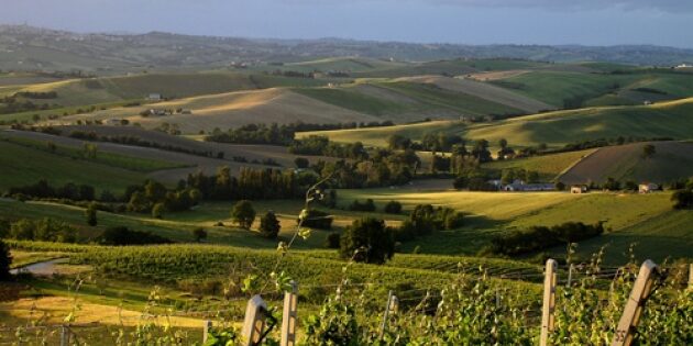 educazione al paesaggio