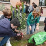 Festa degli alberi