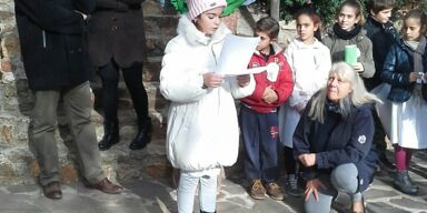 Festa degli Alberi Festa degli Alberi