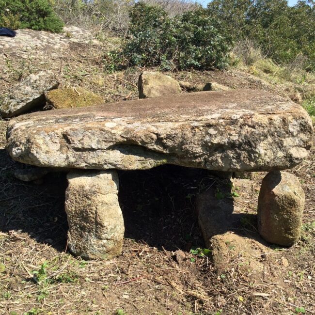 Cote Ciombella Giglio