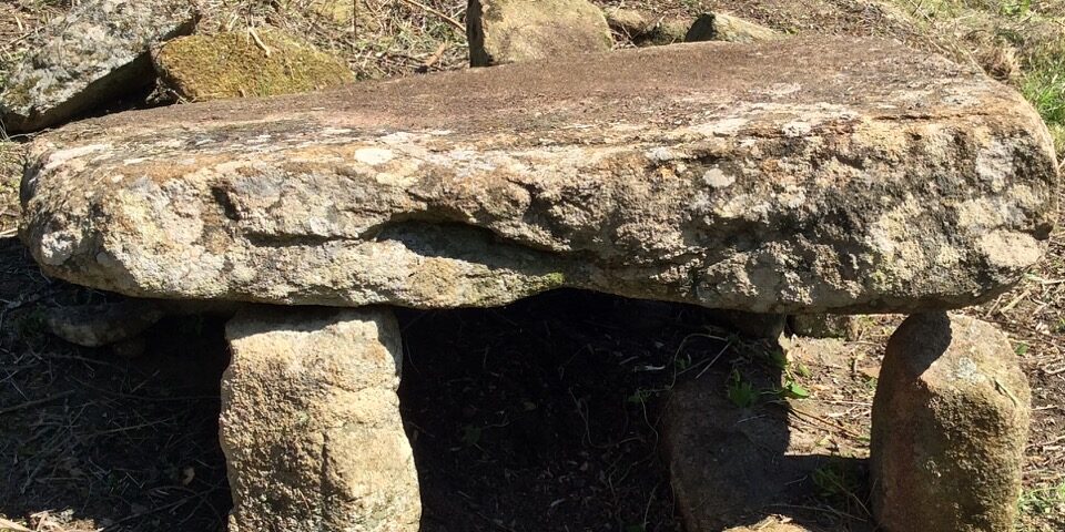 Cote Ciombella Giglio