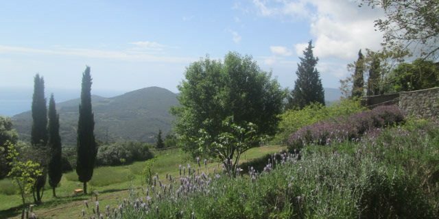 Orto dei Semplici Elbano