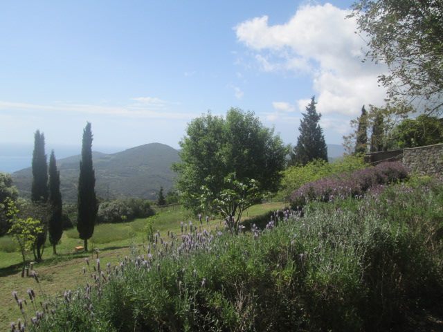 Orto dei Semplici Elbano