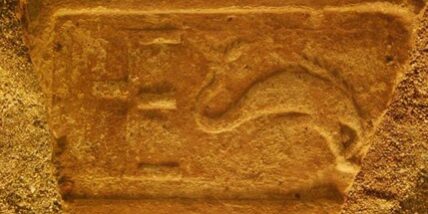 11899859_888124584601573_3757300058732567718_n