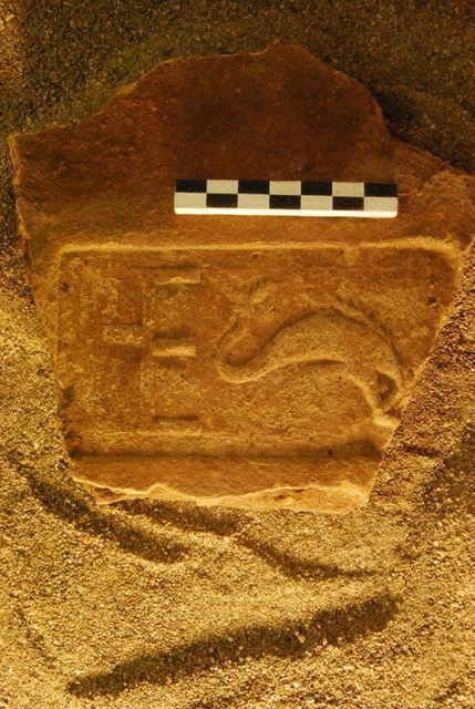 11899859_888124584601573_3757300058732567718_n