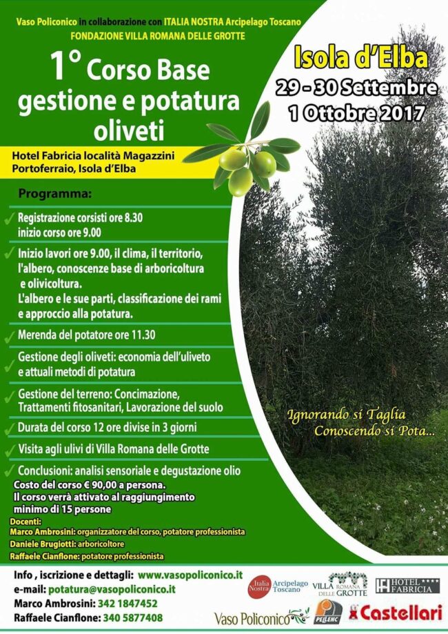 received_1929725817294660