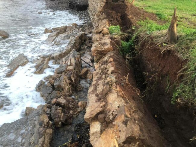 75356895_3389251247778185_2842030059340955648_n