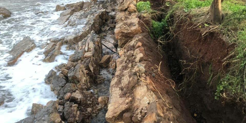 75356895_3389251247778185_2842030059340955648_n