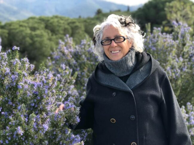 52592440_2150721668572104_4394320609794850816_n