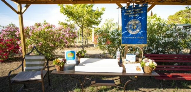 pianosaDSC07190-730×350