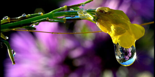 91b89fa3-031d-a280-7487-495f4f8cee7c