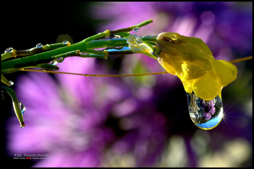 91b89fa3-031d-a280-7487-495f4f8cee7c