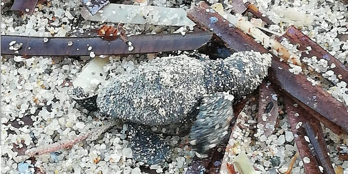 307142096_10225196681776870_7924418568185769689_n