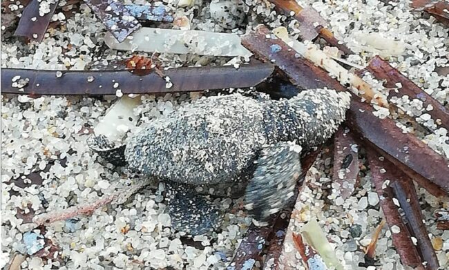 307142096_10225196681776870_7924418568185769689_n