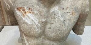 Busto linguella ruotato